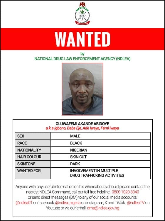 NDLEA declares four members of ‘Barryshine’ drug cartel wanted over cocaine shipments to Saudi Arabia, Qatar, others